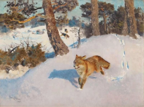 Dogs Hunting A Fox