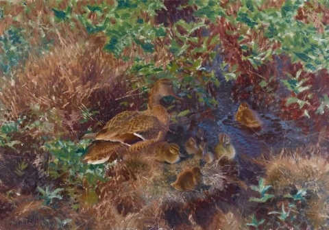 Ducks On A Pond 1914