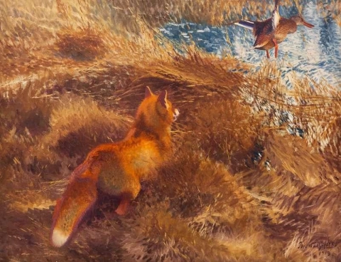 Fox Hunting Duck