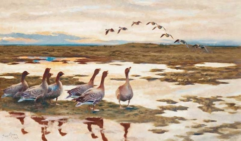 Geese In A Landscape