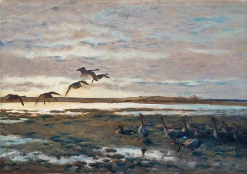 Geese In The Field