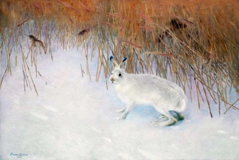 Hase in einer Winterlandschaft 1900