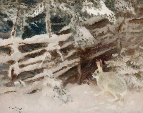 겨울 풍경의 토끼