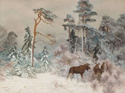 Inter Landscape With Moose