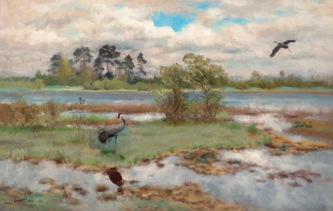 Landscape With Cranes At Water S Edge