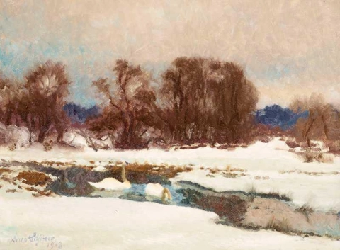 البجعات في المناظر الطبيعية في فصل الشتاء