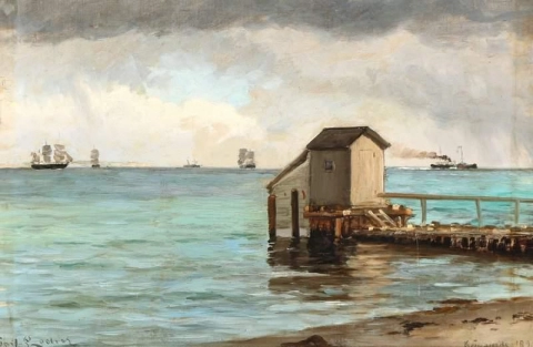 Utsikt fra en strand i bakgrunnen Øya Hveen Danmark 1892