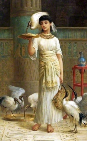Alethe begeleider van de heilige ibis 1888
