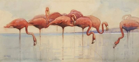 Flamingos 1917