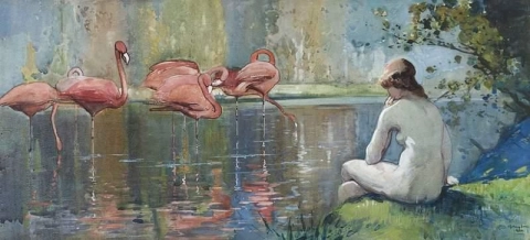 Flamingos 1920