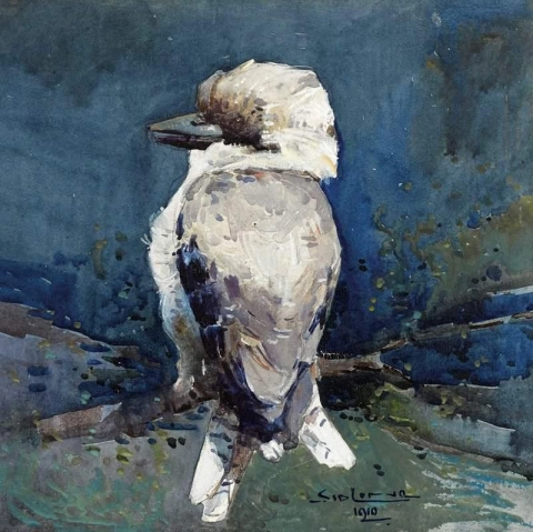 Kookaburra 1910