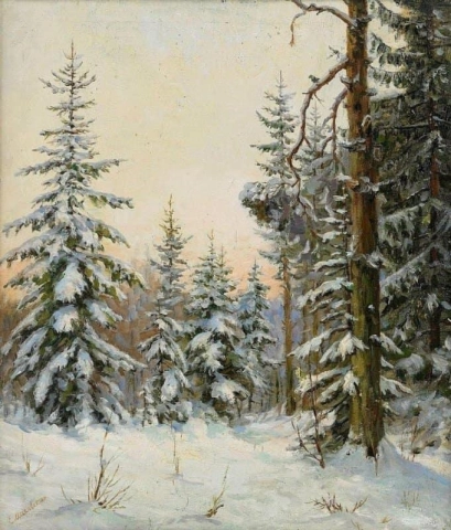 Bos onder sneeuw