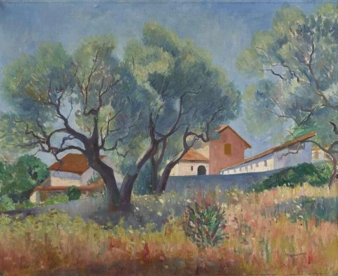 Die Sanary-Olivenbäume 1911
