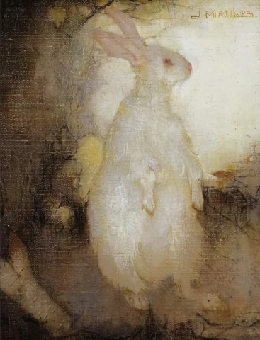 Valkoinen kani seisomassa