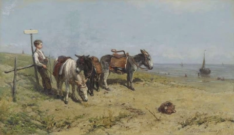 骑驴者在斯赫弗宁恩沙丘中休息