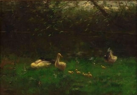 familia de patos