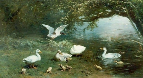 Eendenfamilie conoció a Kuikentjes Aan De Waterkant 1870