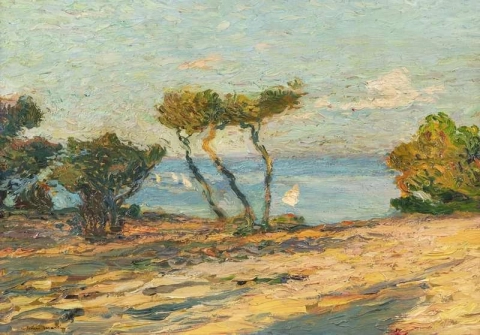 شاطئ البحر مع أشجار الصنوبر قبل عام 1907