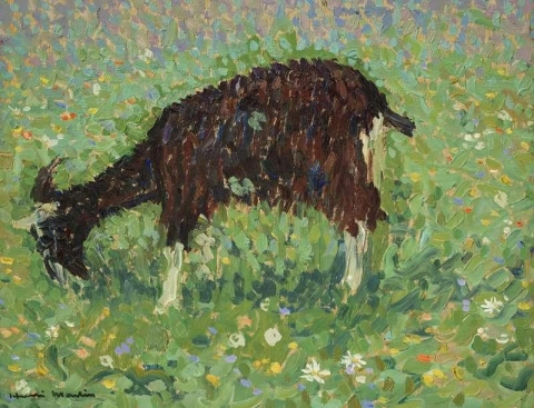 Cabra en un campo de flores