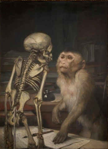带骨架的猴子，约 1900 年