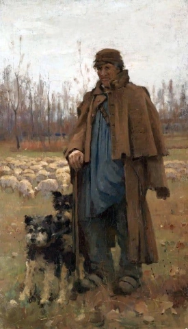 羊飼い