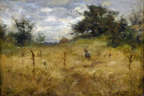Campo de grãos 1877