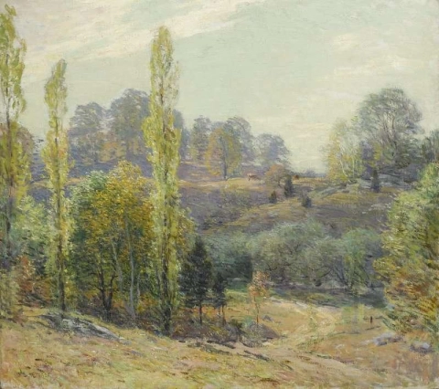 Springflut 1910
