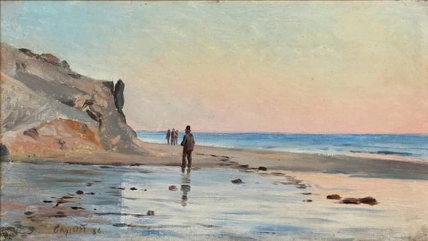 Folk på en strand om kveldssolen 1886