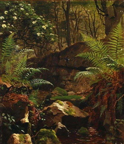 Ett frodigt skogsgolv med en fjäder 1881