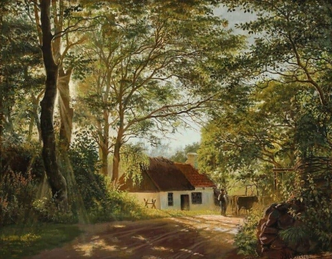 A Man With His Cows On A Dirt Road With Sunlight Over The Trees