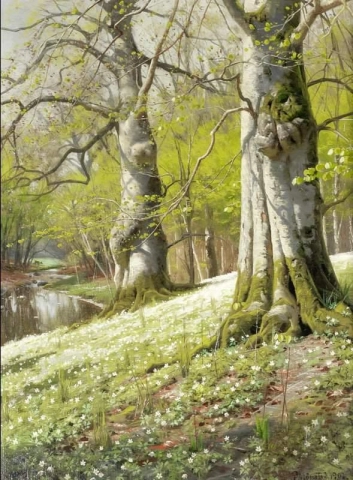 Anemones - A Spring Morning 1901