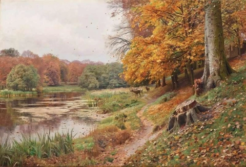 Herbsttag im Wald Rotwild an einem See