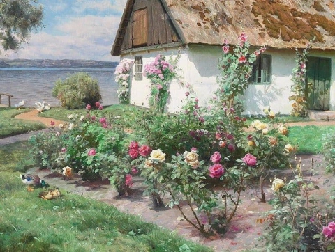 Blomstrende Roser Ved Et Gammelt Havehus Sorup 1934