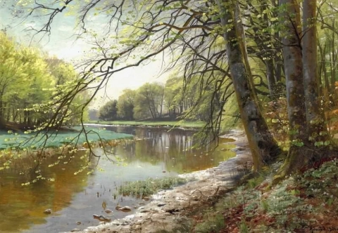 Brook In A Spring Forest With Beech Trees Becoming Green 1901