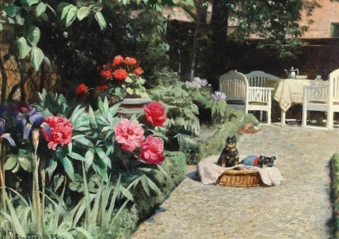 1932 年の夏の日、2 匹の子犬と中庭の外観