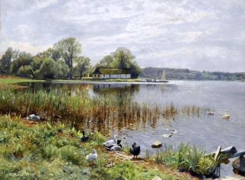 Ducks By A Pond