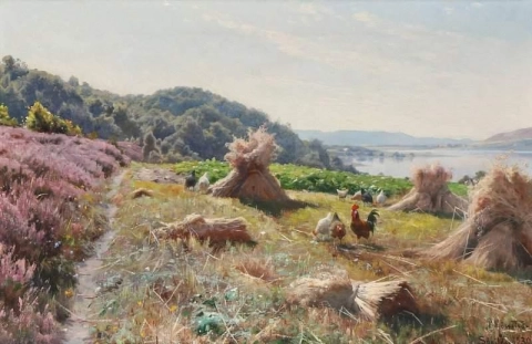 Landskap nær Sokilde med høner i en kornåker 1930