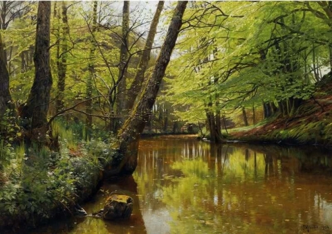静かな森を流れる川 1904年