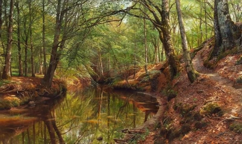 Frühling im Süden durch den Wald. Frischblättrige Buchen spiegeln sich im Wasser, 1915