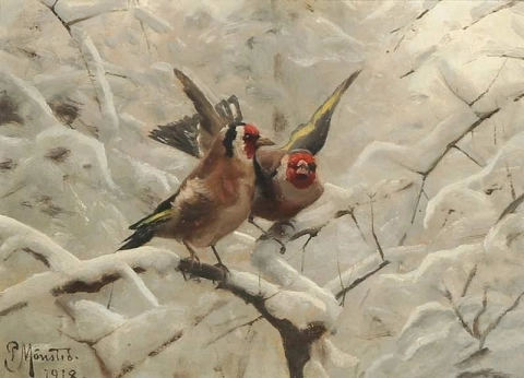Pássaros Stillits no inverno - Carduelis Carduelis 1918