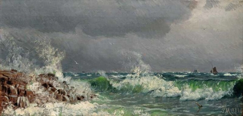 Stormfullt hav 1881