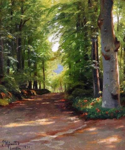 Sommerdag på en skogsvei i Enrum Danmark 1931