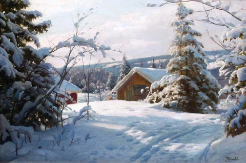 Sunlit Winter Landscape 1