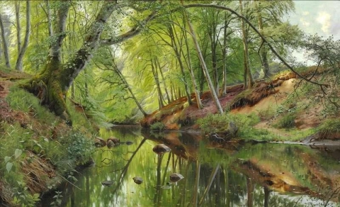 I faggi si riflettono in un ruscello nella foresta 1896