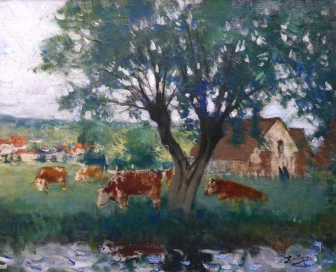 Rinder in Landschaft um 1920