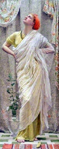 카나리아 1875-80
