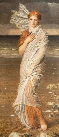 Seashells 1874