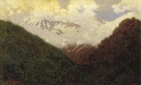 Landscape In The Snow