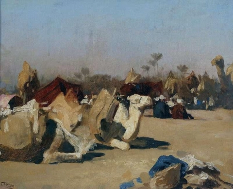 Kameler hviler ved en oase