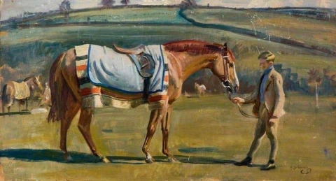Каштановая скаковая лошадь, которую держит мальчик на фоне пейзажа